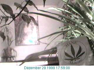 Clubcafe im Hanf Museum