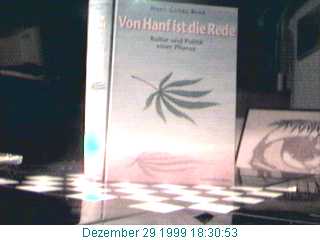 Clubcafe im Hanf Museum