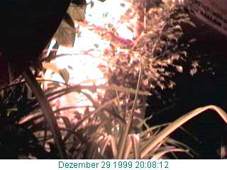 Clubcafe im Hanf Museum